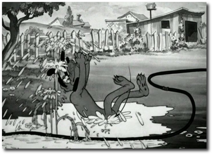 Playful Pluto Playful Pluto