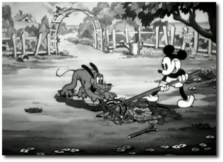 Playful Pluto Playful Pluto