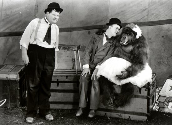 The Chimp