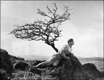 A Cottage on Dartmoor (1929)