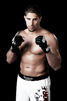Brendan Schaub