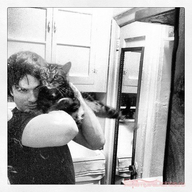 Ian Somerhalder