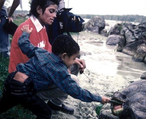 Michael Jackson