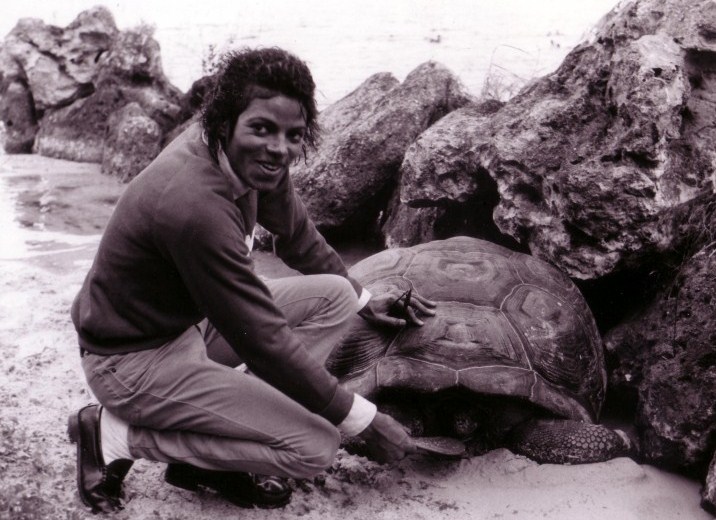 Michael Jackson