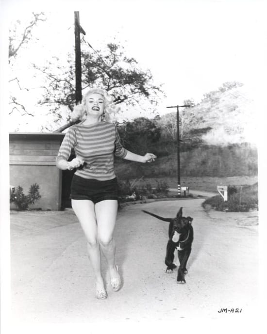 Jayne Mansfield Jayne Mansfield