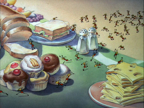 Beach Picnic Beach Picnic