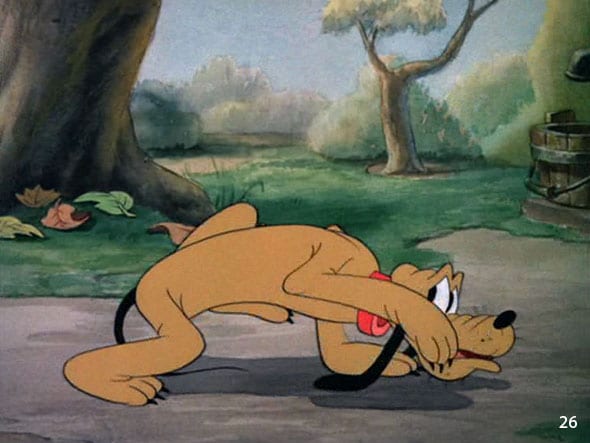 Donald's Dog Laundry