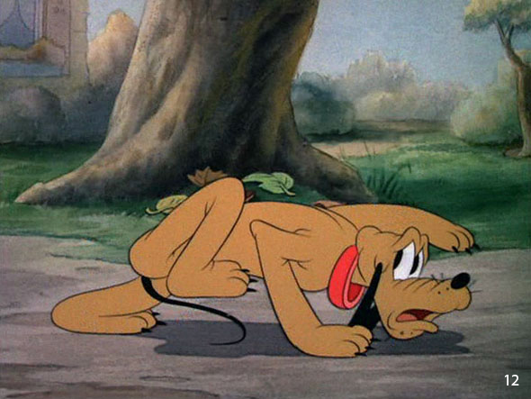 Donald's Dog Laundry Donald's Dog Laundry