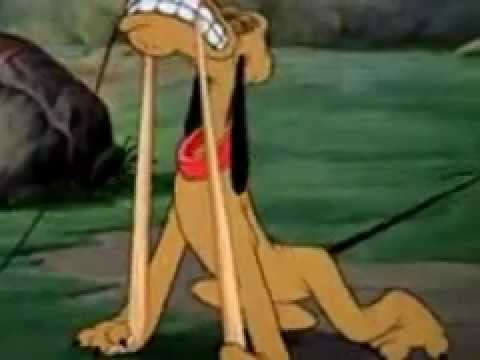 Donald's Dog Laundry Donald's Dog Laundry