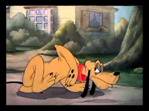 Donald's Dog Laundry
