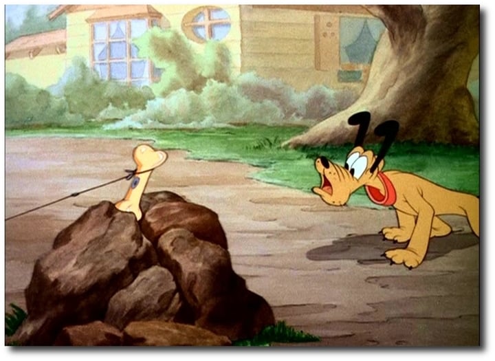 Donald's Dog Laundry
