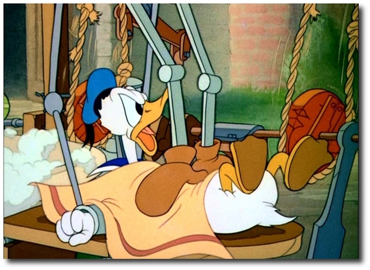 Donald's Dog Laundry