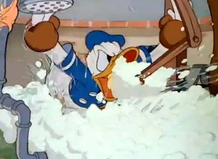 Donald's Dog Laundry