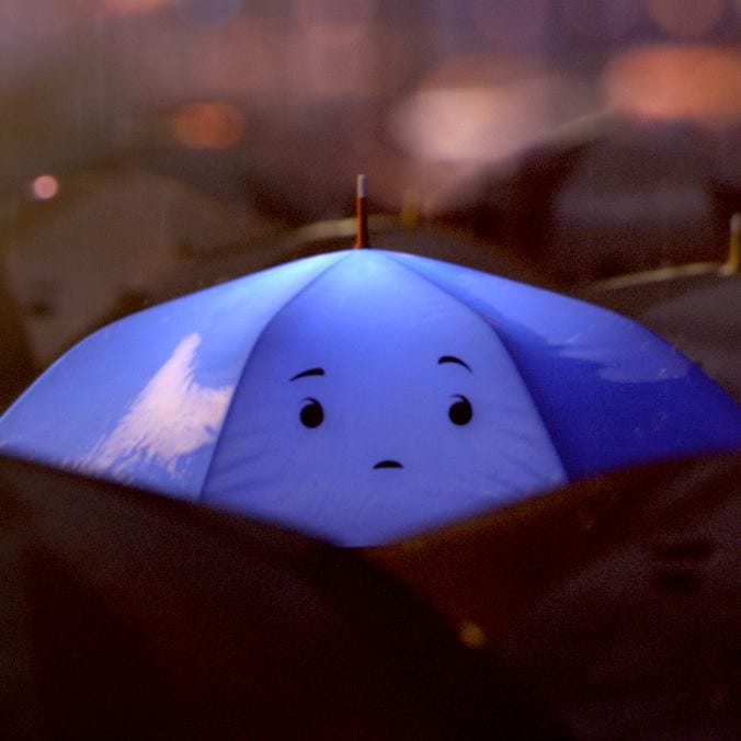 The Blue Umbrella The Blue Umbrella