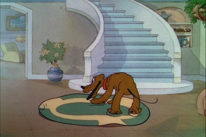 Donald and Pluto Donald and Pluto
