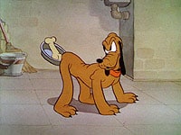 Donald and Pluto Donald and Pluto