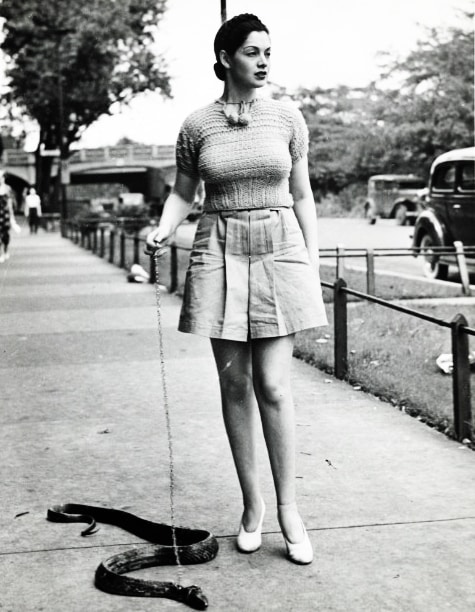 Zorita Zorita