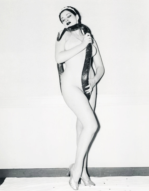 Zorita Zorita