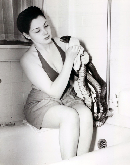 Zorita Zorita