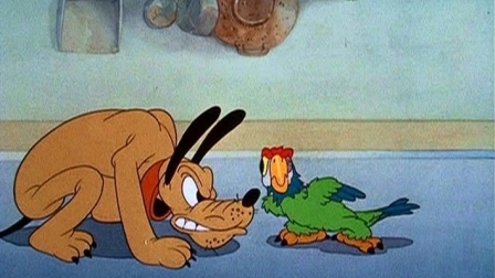 Mickey's Parrot
