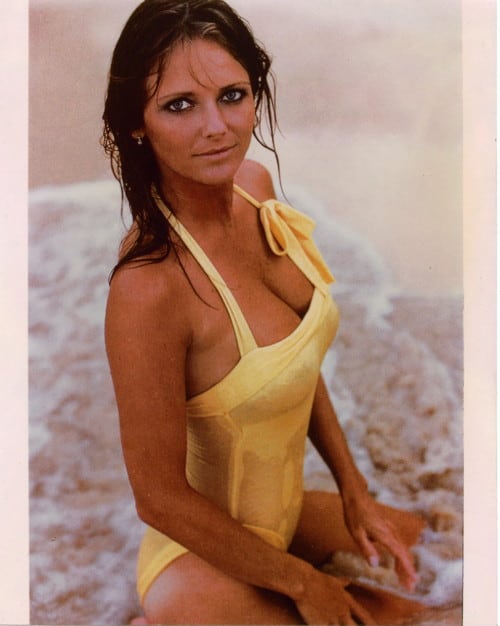 Cheryl Tiegs