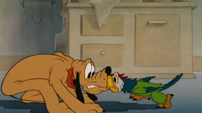 Mickey's Parrot