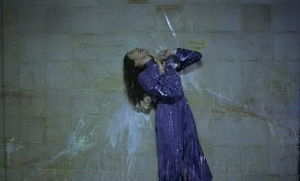 Possession (1981)