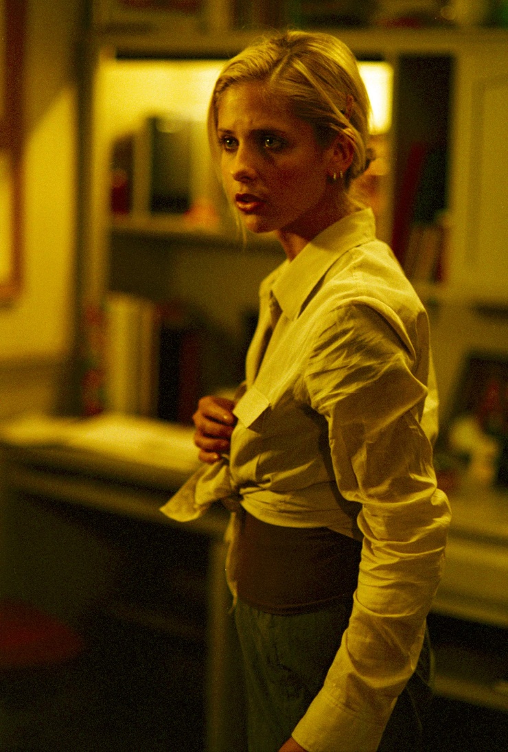 Buffy the Vampire Slayer Buffy the Vampire Slayer