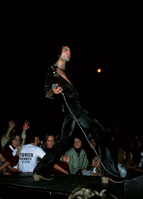 Freddie Mercury