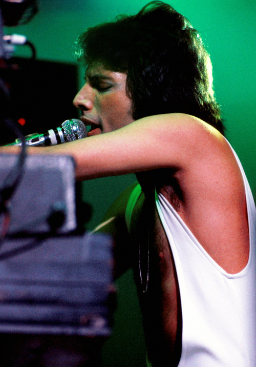Freddie Mercury Freddie Mercury