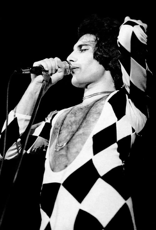 Image of Freddie Mercury