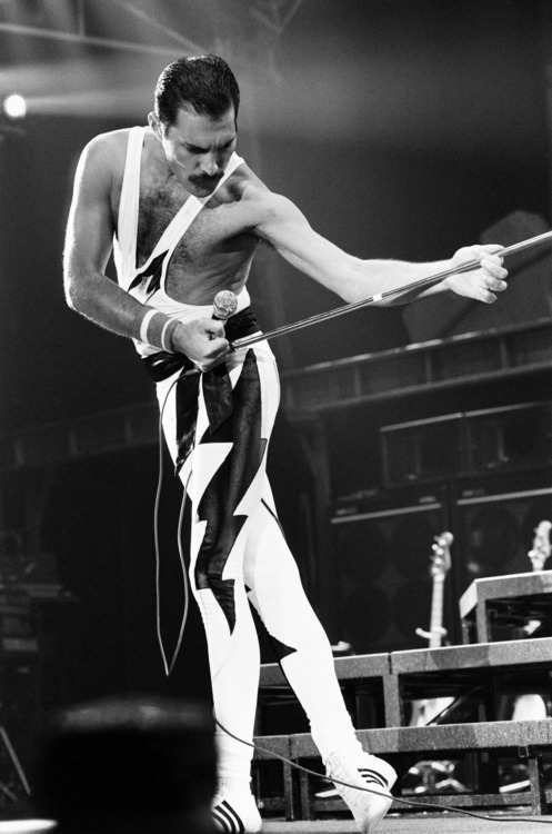 Freddie Mercury