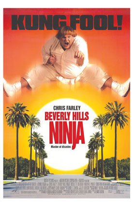 Beverly Hills Ninja