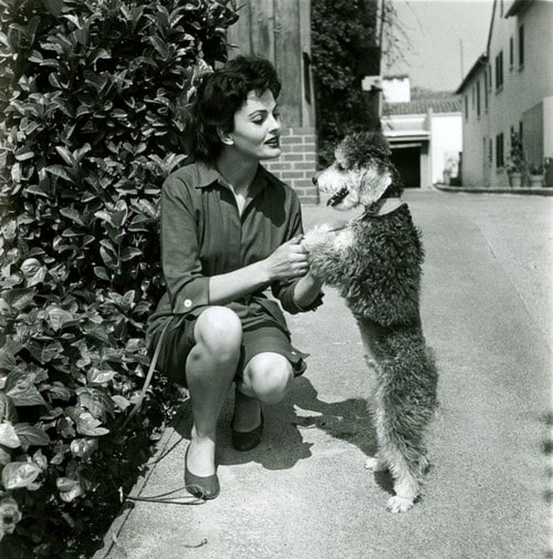 Ursula Thiess Ursula Thiess