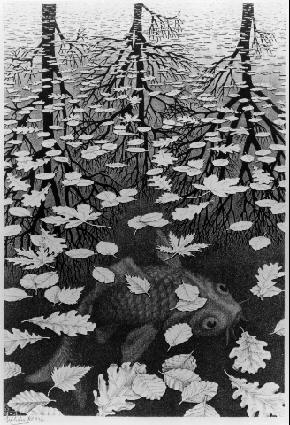 M. C. Escher M. C. Escher