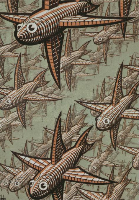 M. C. Escher M. C. Escher