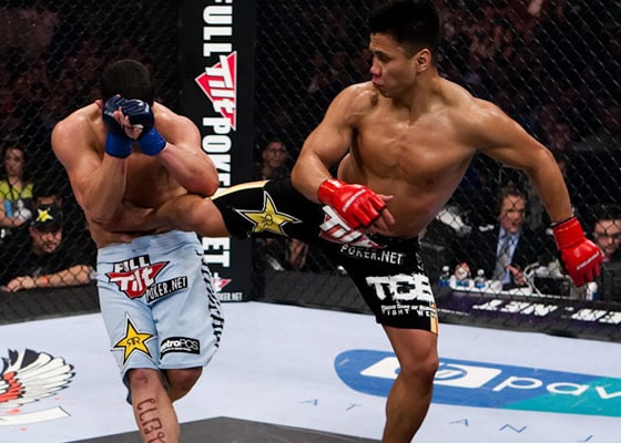 Cung Le