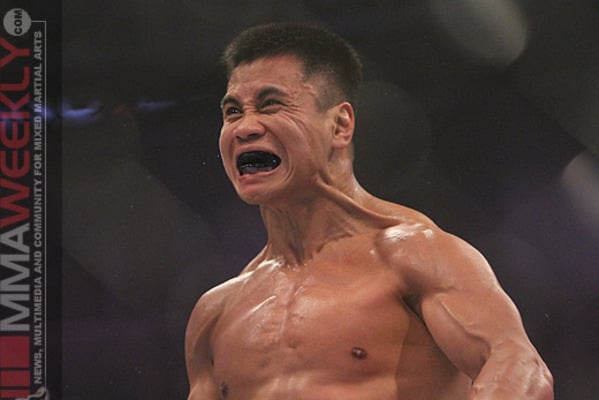 Cung Le