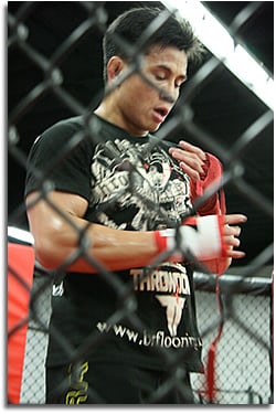 Cung Le