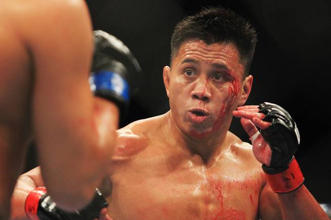 Cung Le