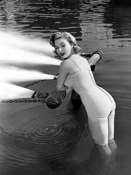 Elaine Stewart