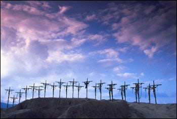 Life of Brian
