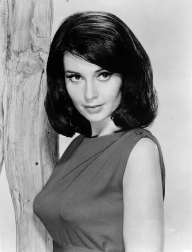 Anjanette Comer Anjanette Comer
