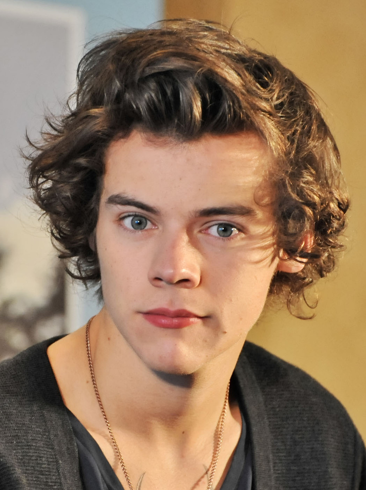 Harry Styles Harry Styles