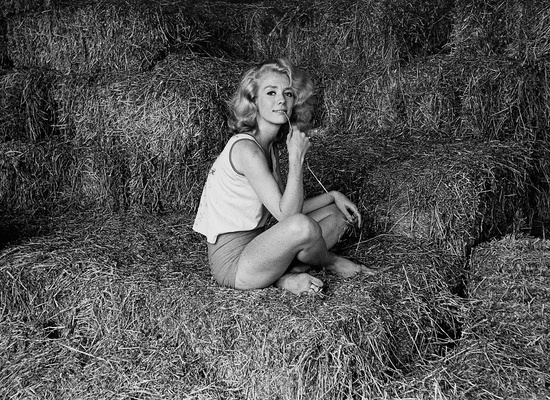 Inger Stevens