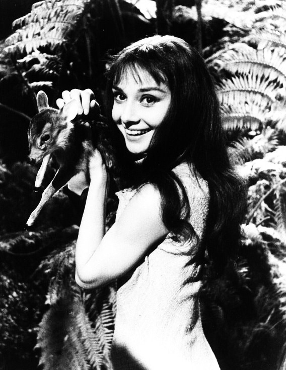 Audrey Hepburn Audrey Hepburn