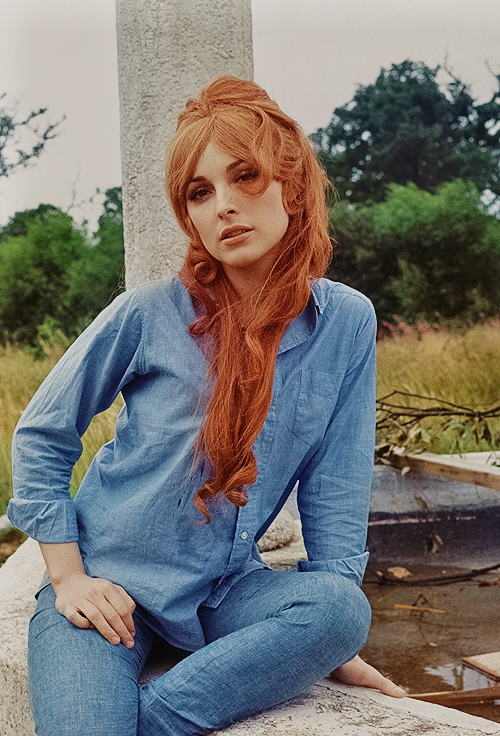Affiche De Film The Fearless Vampire Killers, Poster HQ 40x60cm, Neuve