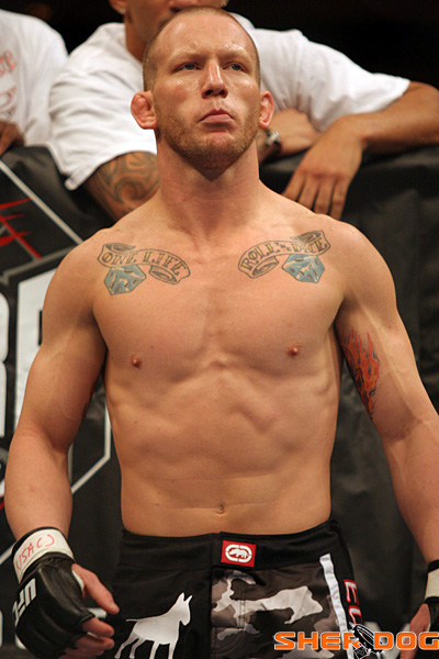 Gray Maynard