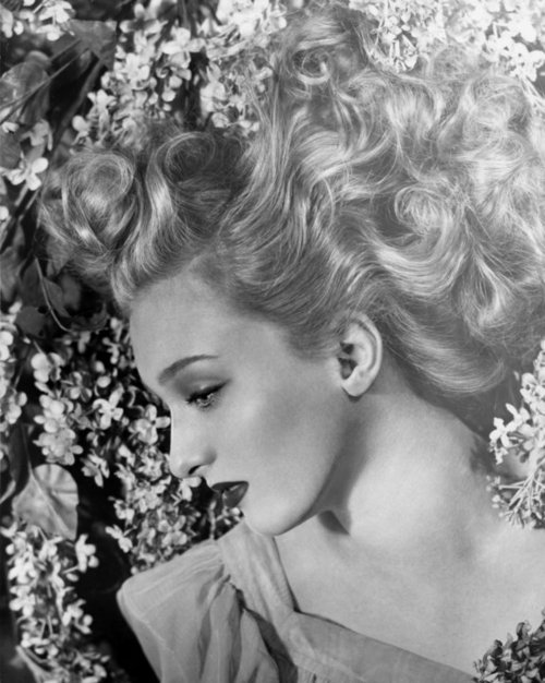 Celeste Holm Celeste Holm