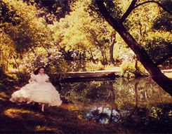 Gone with the Wind